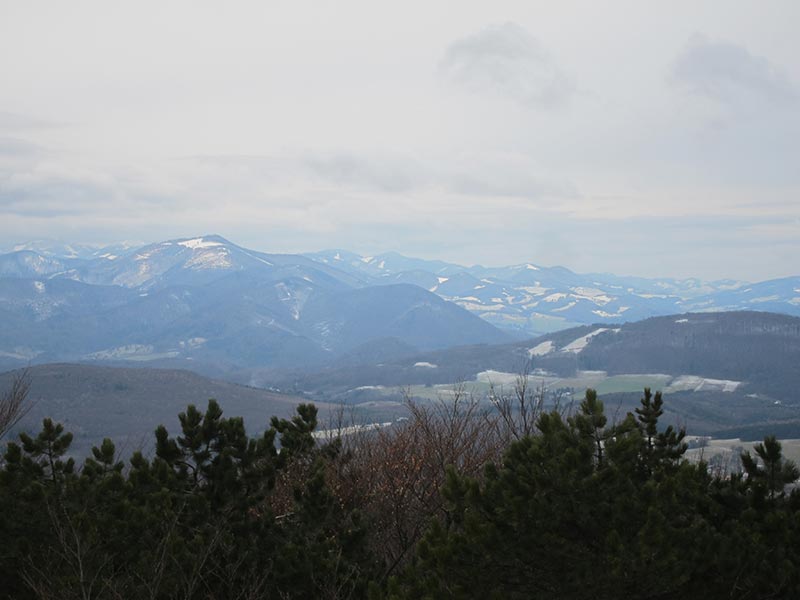 Lindkogel